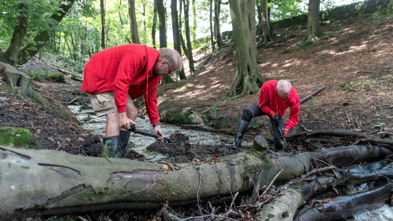 Leaky timber dams in Buckden Wood